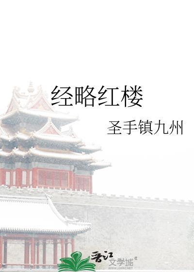 经略红楼txt