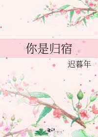 你是我的归宿台词