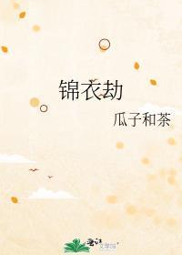 锦衣劫瓜子和茶免费阅读