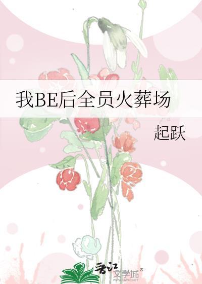 我BE后全员火葬场资源