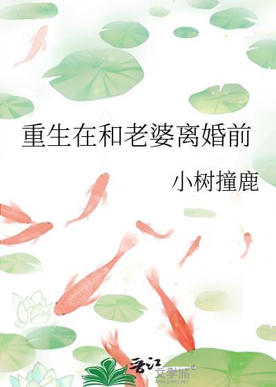 重生跟老婆离婚的
