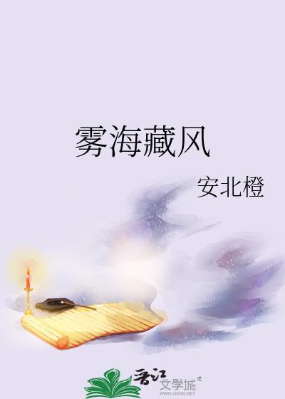 雾海藏风txt盘