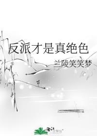 反派才是真绝色快穿