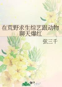 在荒野求生节目开始