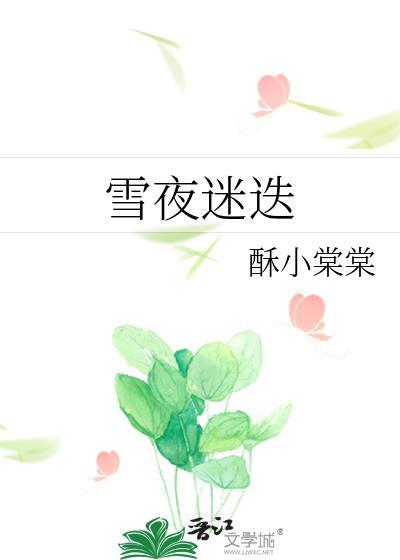 雪夜迷迭在线阅读