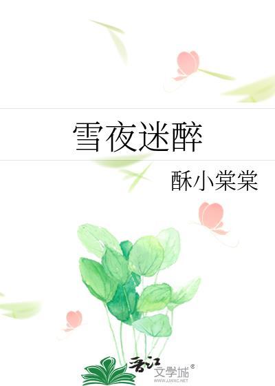 雪夜迷醉全文txt