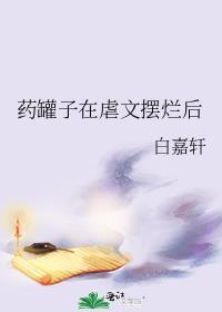 药罐子在虐文摆烂后 本书作者 白嘉轩