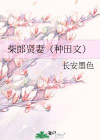 柴侍郎是谁
