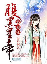 腹黑皇帝追妻记