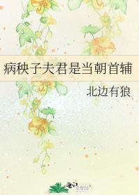 病秧子夫君是当朝首辅by北边有狼百度