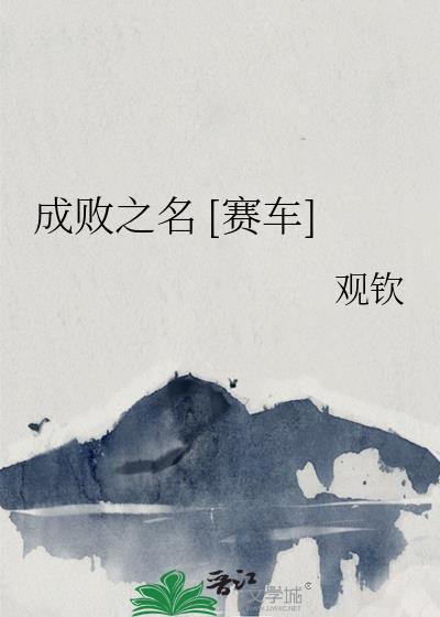 成败之举是什么意思