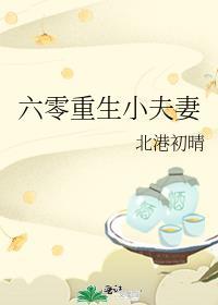 六零小夫妻完整版免费阅读