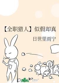 全职猎人同人男主