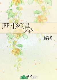 ff7星之神秘书第二卷