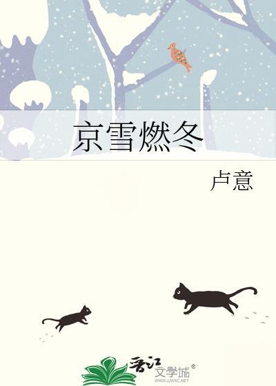 京雪燃冬txt