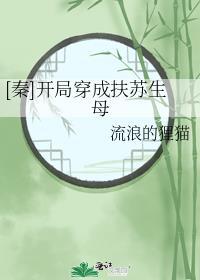 秦开局穿成扶苏生母曼文网