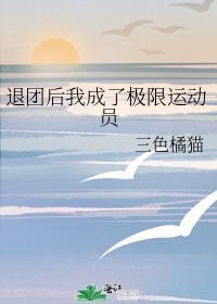 退团后我成了一线23