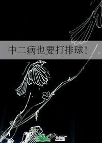 中二病也要打排球!by