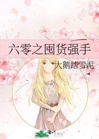 六零之囤货强手大结局