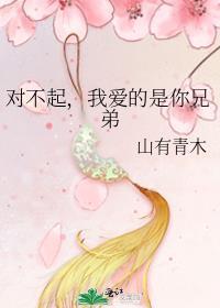 对不起我爱的是你兄弟TXT