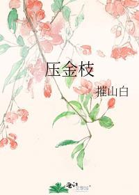 压金枝讲的什么内容