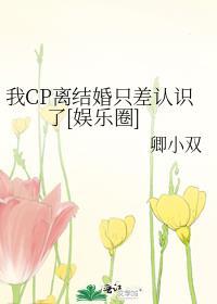 我cp离结婚只差认识了娱乐圈免费阅读