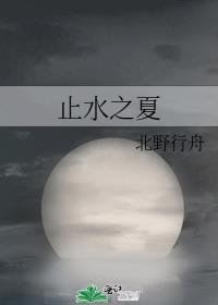止水篇是多少集