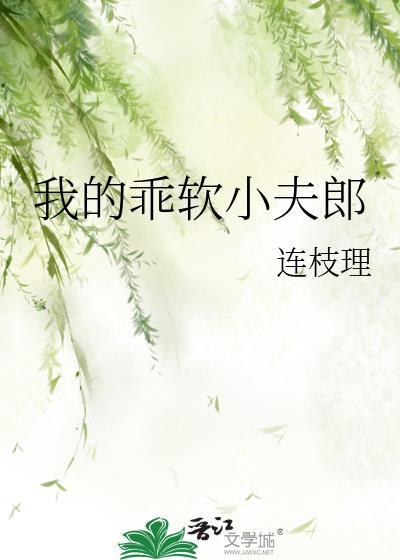我的乖软小夫郎txt