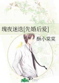 夜玫瑰po无人