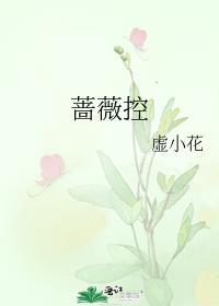 蔷薇控股