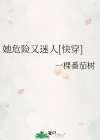 裙钗之下免费全本完结