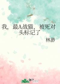 最A战猫