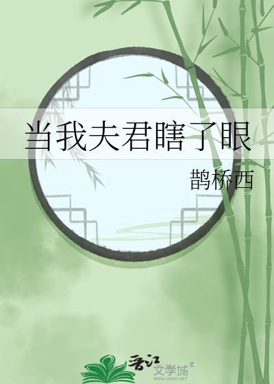 当我夫君瞎了眼晋江