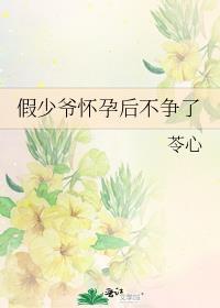 假少爷怀孕后不争了全文阅读
