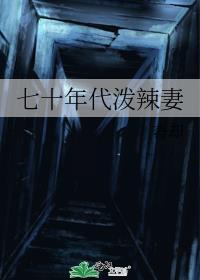 穿越七零年代泼辣