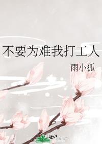 清穿之康熙家的小宠妃姜照