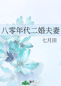八零年代二婚夫妻全集