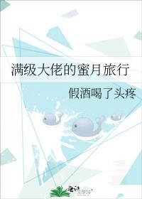 满级大佬蜜月旅行全文阅读