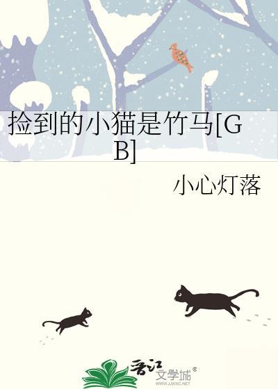 捡到的猫寓意什么