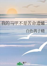 我的马甲不是苦命遗孀作者