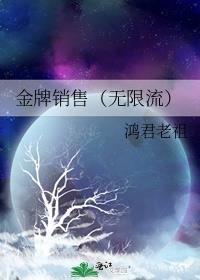 金牌销售全文免费阅读