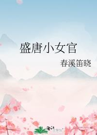 盛唐小女官男主叫什么