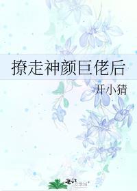 撩走神颜巨佬后 开小猜