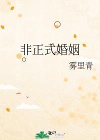 非正式婚姻全文TXT百度