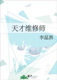 天才维修师好看吗