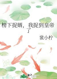 榜下捉婿bl