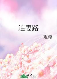 追妻路终圆满全集