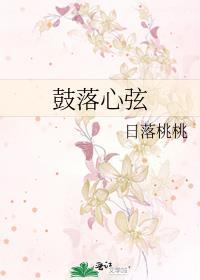 鼓落心弦免费阅读