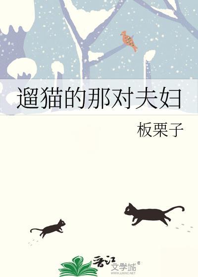 遛猫太难了
