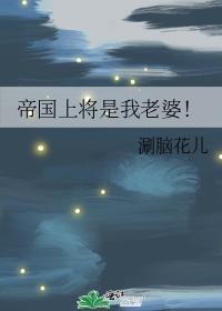 帝国上将是我老婆番外